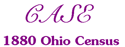 Cases in Ohio 1880